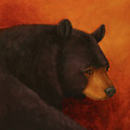 Darkly Dreaming Bear